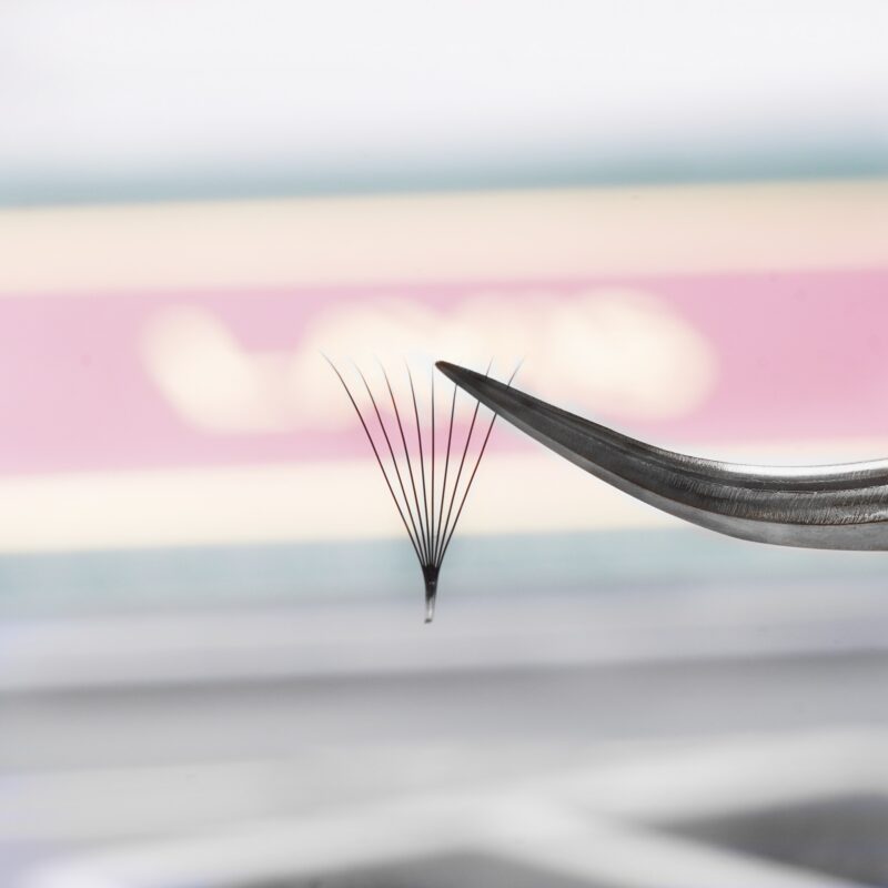 lavislash 8d promade loose fans lash extensions