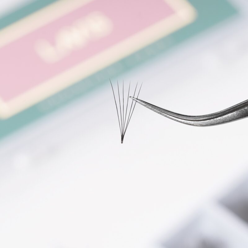 lavislash 6d promade loose fans lash extensions