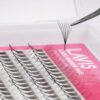 lavislash 8d narrow medium tray eyelash extensions