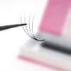 LavisLash- 4d- Narrow ultraspeed- promade fans- eyelash extensions