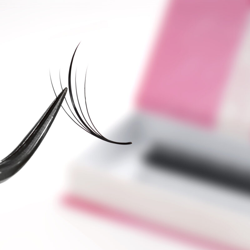 lavislash-wispy-ultrspeed-promade fans- eyelash extensions