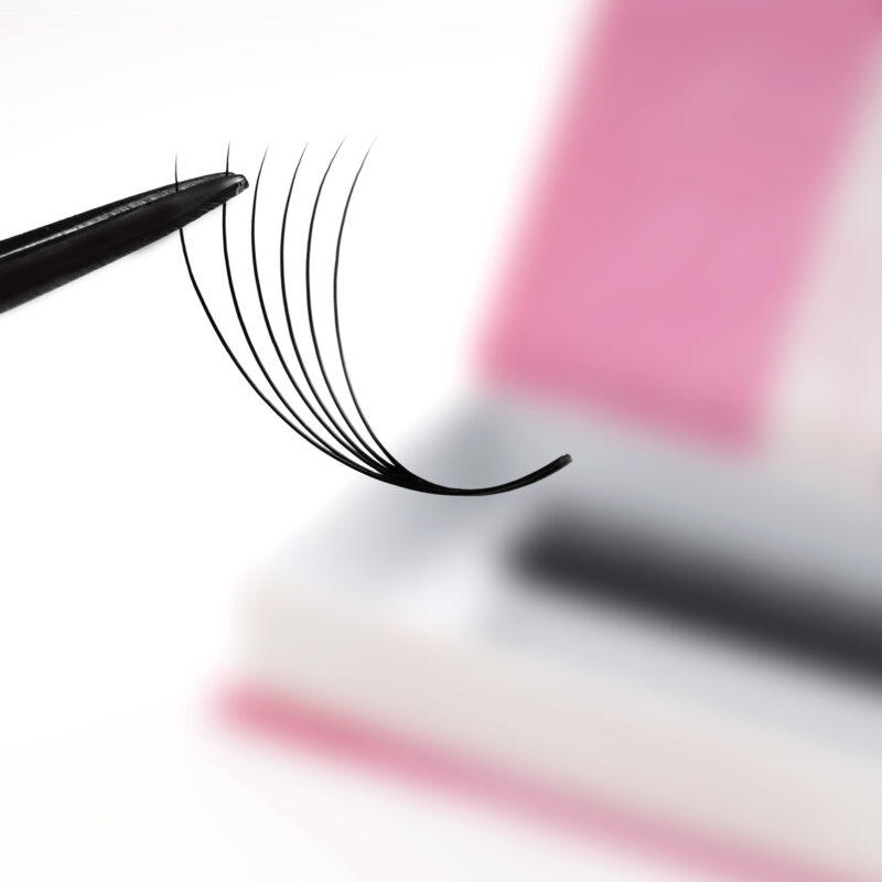 LavisLash- 6d- Narow ultraspeed- promade fans- eyelash extensions