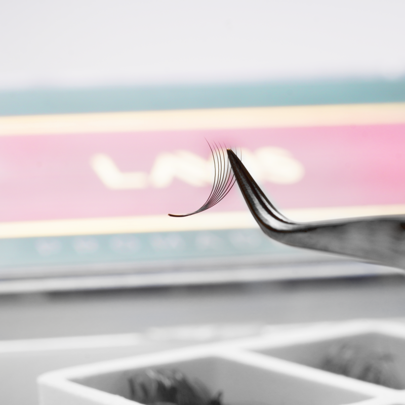 LavisLash- Promade fans- Eyelash extensions- Volume fans