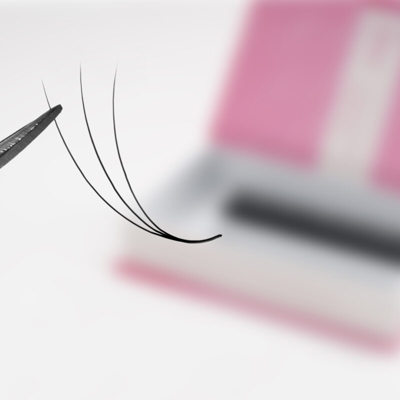 lavislash- 3d- narrow- ultrspeed- promade fans- eyelash extensions