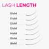 LavisLash-Length-mix-3