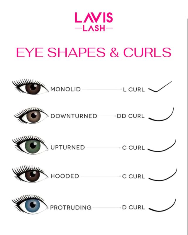 hooded eye shapes and curls D curl lash recommendation LavisLash