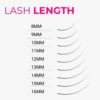 LavisLash-Lash Length-Mix Fans