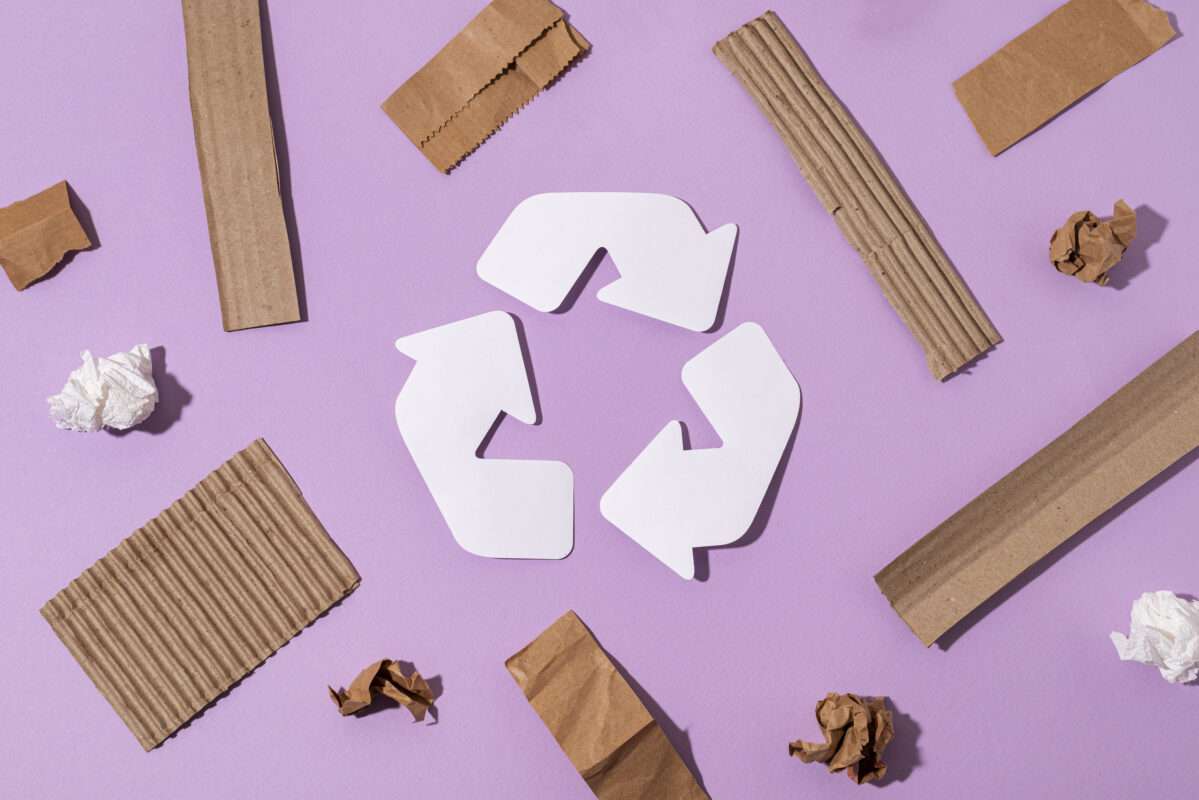 lavislash-amazon-eco-friendy-system-view-cardboard-minimal-recycling-concept