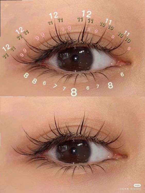 lavislash-anime-look-eyelash-extension-lash-map