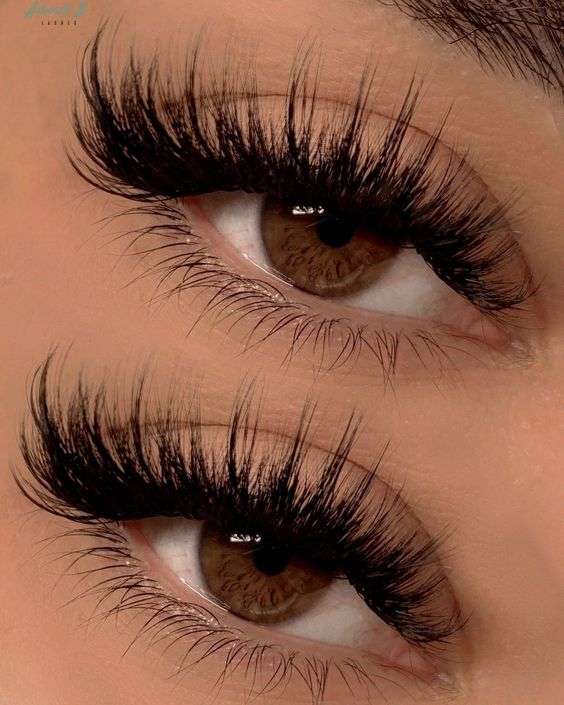 lavislash-cat-eye-wispy-lashes-lash-extension-applying-guide-examples-collection